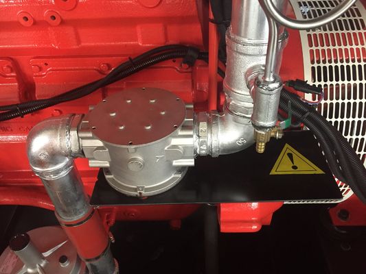 Silent Type 300kw 375kva Cummins Engine LPG Generator for Natural Gas Fuel Efficiency