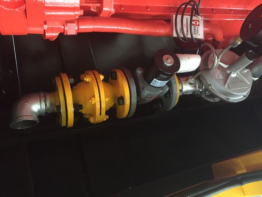 Silent Type 300kw 375kva Cummins Engine LPG Generator for Natural Gas Fuel Efficiency