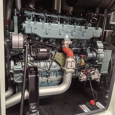 250kw 312kva Power Standby Supply for Natural Gas Electrical Start Engine Generator