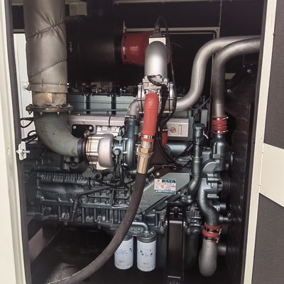 250kw 312kva Power Standby Supply for Natural Gas Electrical Start Engine Generator