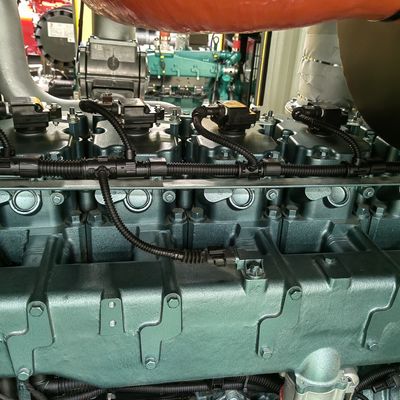 250kw 312kva Power Standby Supply for Natural Gas Electrical Start Engine Generator