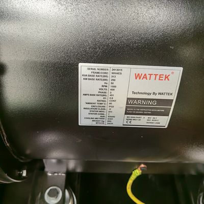 50HZ/60HZ Frequency 300KW 1mw Natural Gas Powered Generators with Water Cooled Method