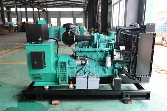 125KVA 100KW Cummins 6CTA8.3-G1 Gas Generator with 50/60hz Frequency in Russian Market