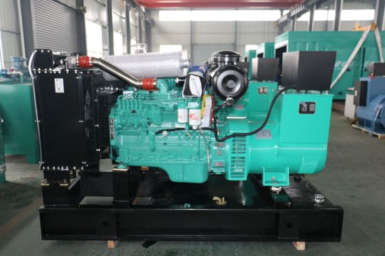 125KVA 100KW Cummins 6CTA8.3-G1 Gas Generator with 50/60hz Frequency in Russian Market