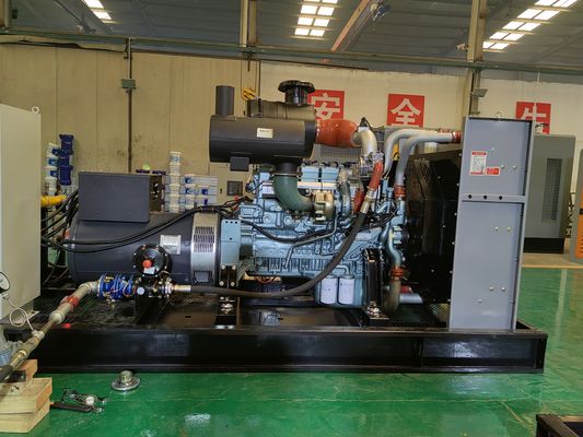 CE/ISO Certified 250KW Diesel Generator Powered by Cummins Weichai Sinotruk SDEC