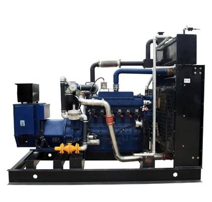 125KVA 100KW Natural Gas LPG Silent Soundproof Generator Set with Russian Control System
